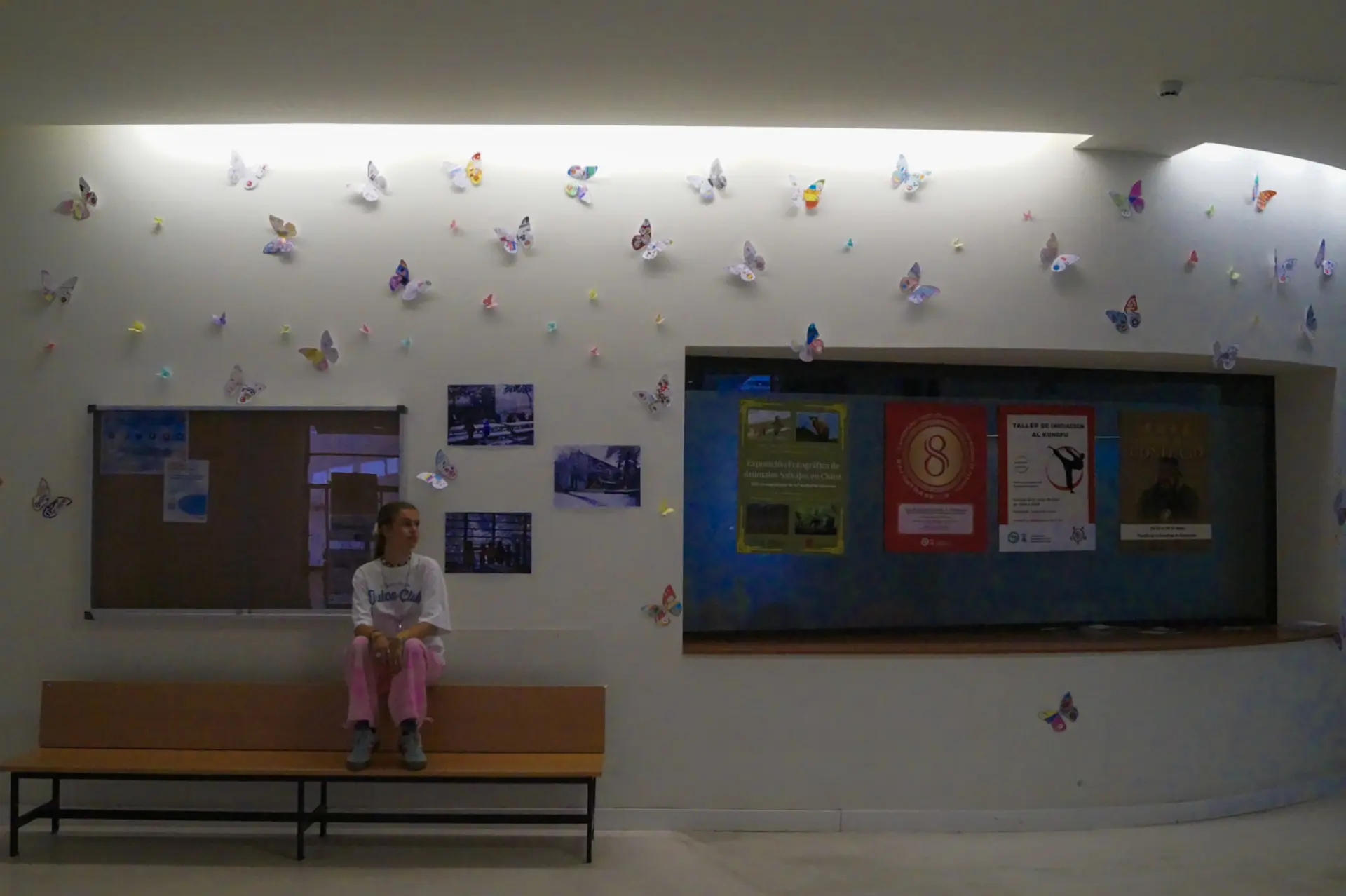 A student sitting on a bench beneath a wall of paper butterflies in a university hall