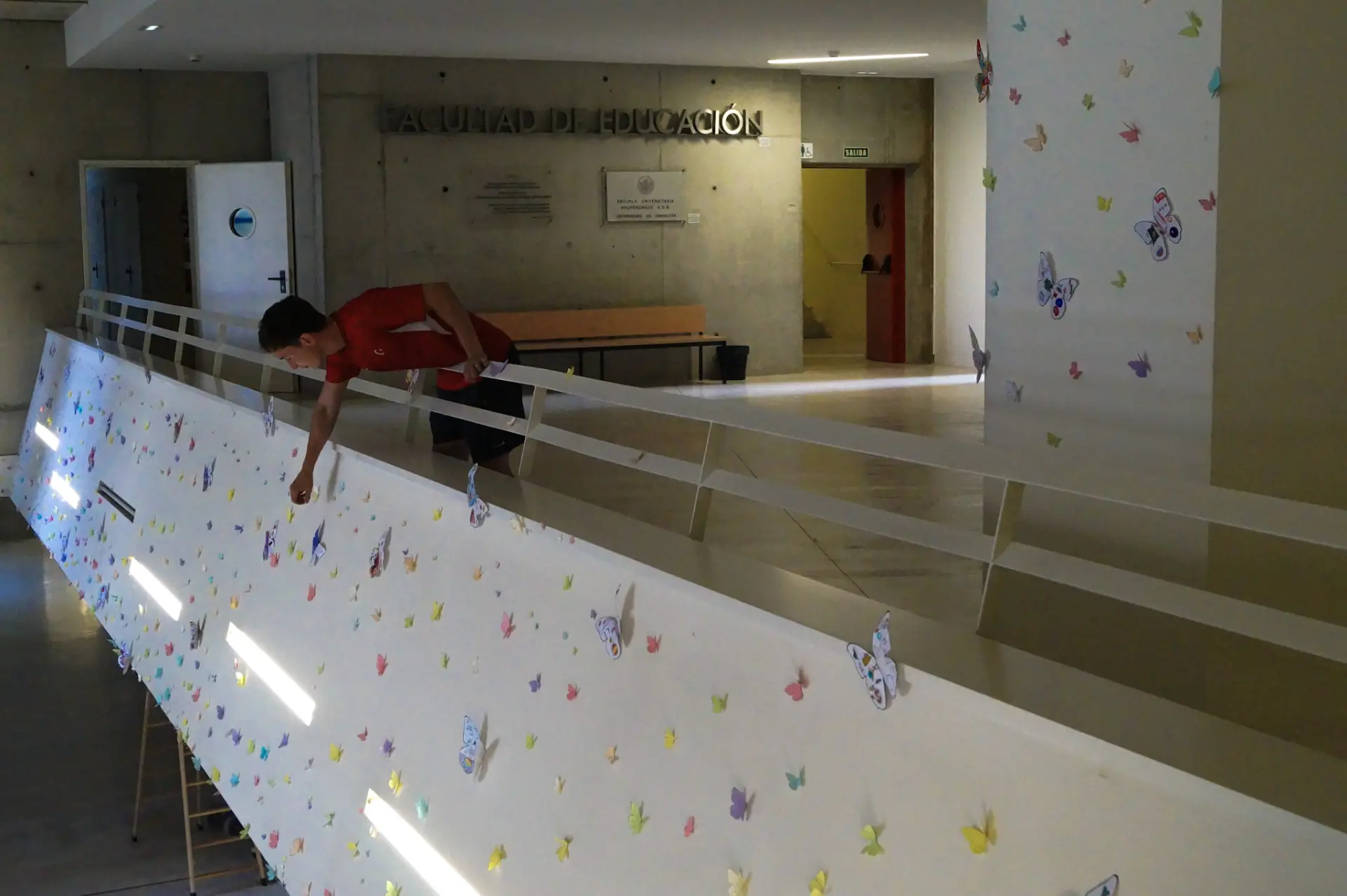 A student placing paper butterflies along a white banner at the Faculty of Education