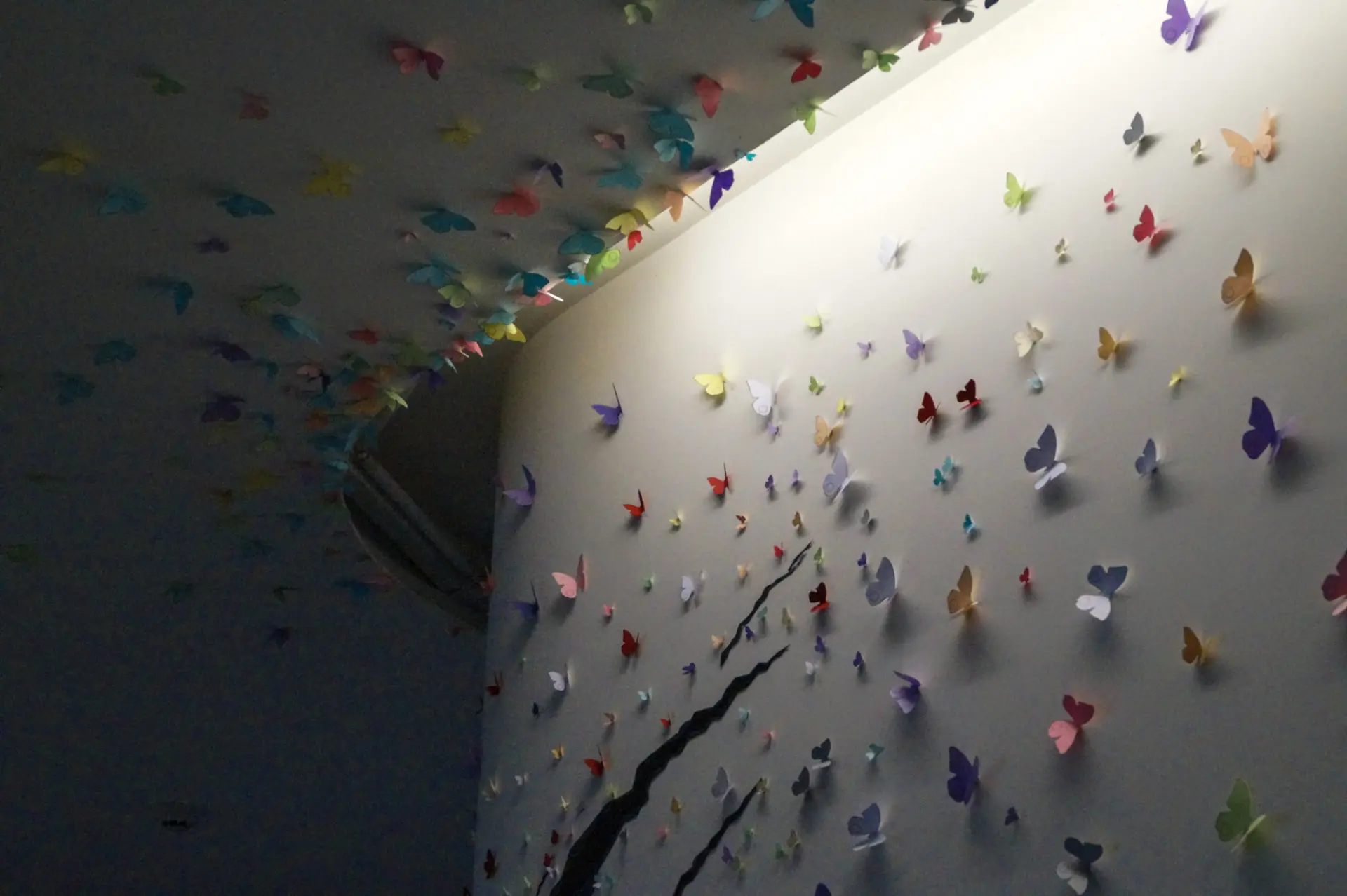 Paper butterflies climbing a wall and across the ceiling in low warm light