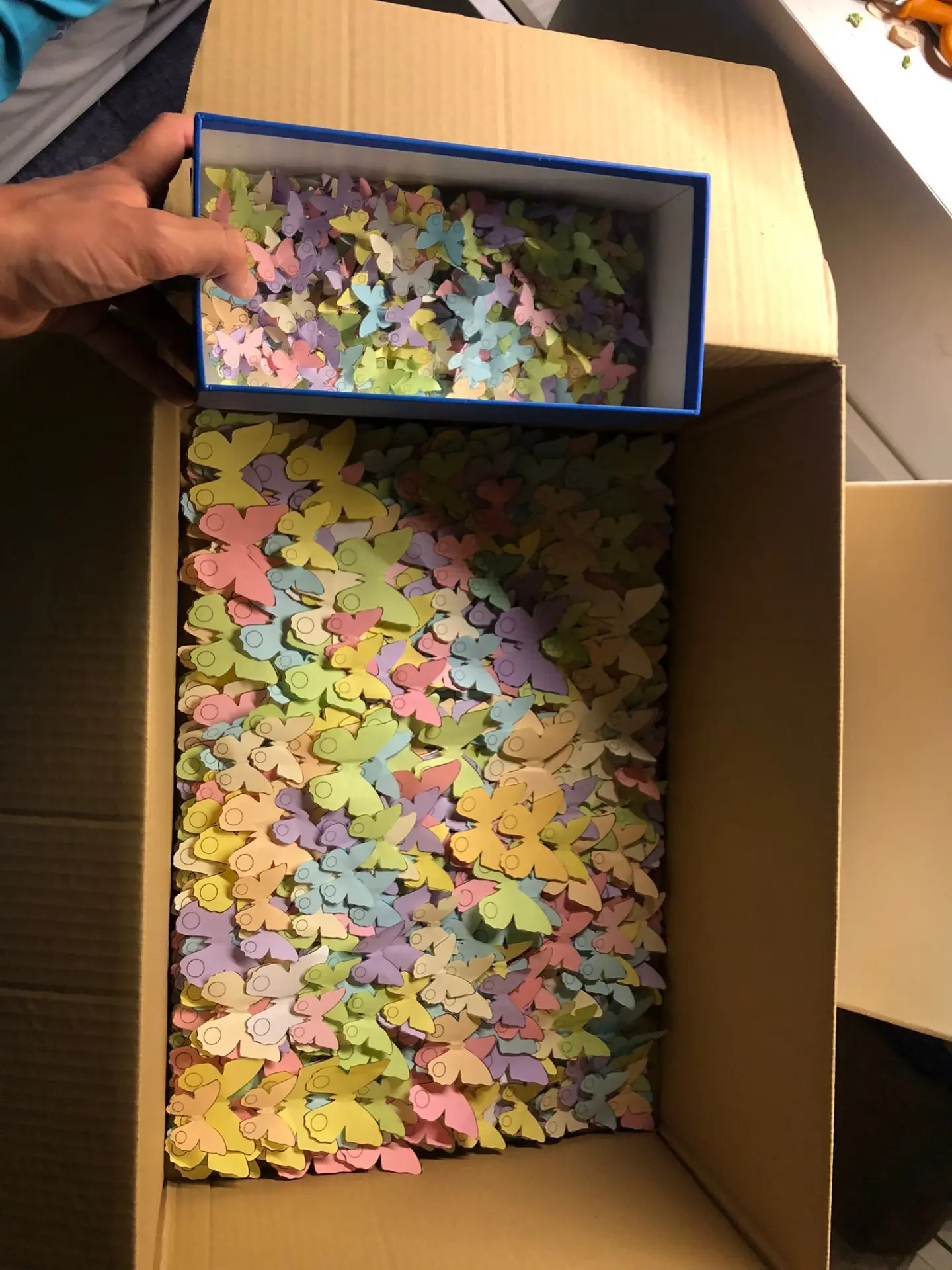 Boxes filled with hundreds of pastel paper butterflies